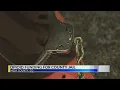Opioid Treatment Funding for Mesa County Jail
