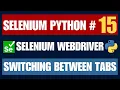 Selenium Python Switching Between Tabs