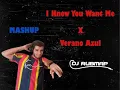 I Know You Want Me X Verano Azul Rubmap Mashup