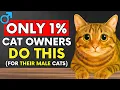 Download Lagu 8 Hal yang Disukai Kucing JANTAN dan Hanya 1% Pemiliknya yang Melakukannya