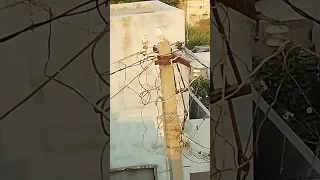 Https Youtu Be OWU1I8 Hamc Si FOg1 D22FN1XXA1E 