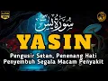 Download Lagu Surah Yasin Pengusir Setan dan Penyembuh Segala Macam Penyakit, Ngaji Merdu | By : Alaa Aqel