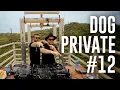 Download Lagu Dubdogz - DOGPRIVATE #12 (Rapel Boca da Onça, Bodoquema / Bonito - MS)