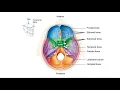 Practical 2 Review