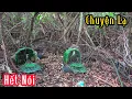 Download Lagu Chuyện Lạ Bẫy Chim Quốc Mà Dính Con Này | Đam Mê Săn Bắt