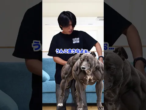 ごめんなさい獣医さん… #2ch再現ドラマ