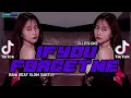 Download Lagu DJ SLOW SANTUY ITS OKE IF YOU FORGET ME RAWI BEAT SLOW REMIX || DJ PAPERBAG