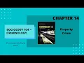 LECTURE Chapter 14 - Property Crimes