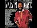 Inner City Blues (Make Me Wanna Holler)