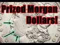 Highly Prized 1888 Morgan Dollar Variety - Problem Free Examples Selling for Thousands