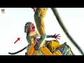 Download Lagu 😢 Oh My God! Never Seen Baby Monkey So Scared Before as Mom Jumps Away and Leaves Her Alone.