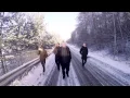 Alesso - Heroes (we could be) ft. Tove Lo (Rock Version by Self Deception)