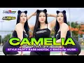 Download Lagu DJ CAMELIA (Irwansyah) STYLE PARTY NROTOK x SIMPATIK MUSIK