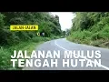 Download Lagu Jalanan Indah di tengah Hutan dan Gunung  || Jalan Santai