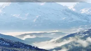 Malouf Annabi Nacer Barhayel Annaba 