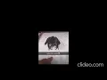 Download Lagu The Original Sound (No Echo)