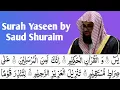 Download Lagu Surah Yaseen by Saud Shuraim || Full with HD text