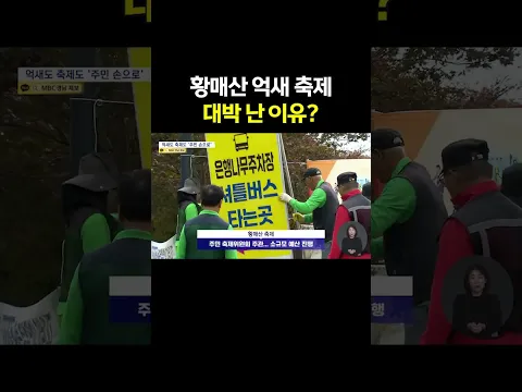 '황매산 억새 축제' 대박 난 이유?!