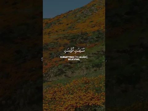 Wives better than you | At-Tahrim V. 5 | Mohammed Al-Ghazali | محمد الغزال