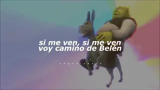 mi burrito sabanero letra reggaet n