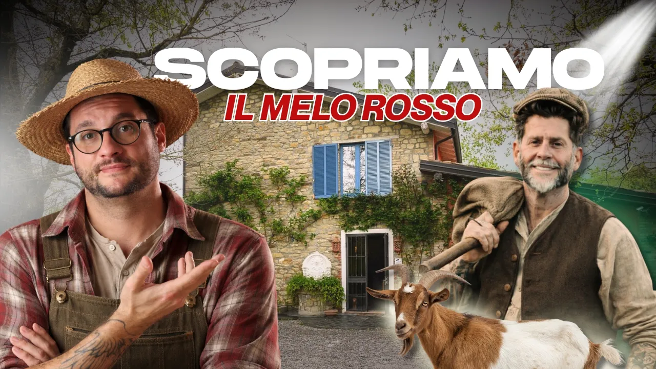 Può un ristorante “normale” diventare una meta? Recensione - Il Melo Rosso