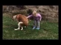 A Little Girl Tell Her Dog Great Job Pooping Funny Video   YouTube