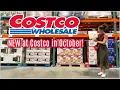 NEW Costco Finds This Week October 2025 Christmas Is Taking Over Halloween Always New Finds