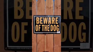 Download Beware Of Dog Signs That Will Make You Laugh CUTE COMPILATION Tiktok has the cutest pets dogs MP3