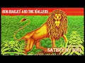 Bob Marley and the Wailers - Satisfy My Soul - Extended Fabmix 1970