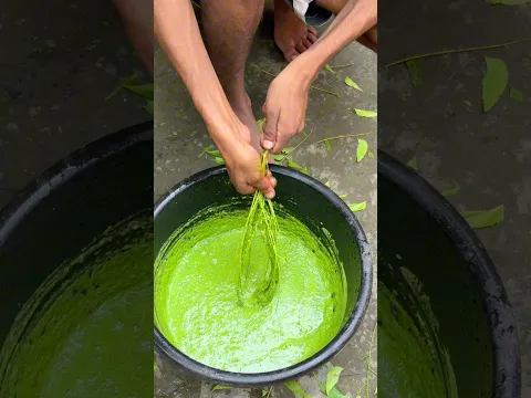 নিমপাতার রস ? #minivlog #shorts