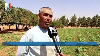 الجلفة فلاحوا بلدية حاسي فدول ينتظرون ربط أراضيهم بالكهرباء الفلاحية 