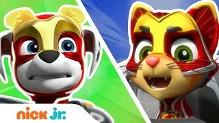 paw patrol mighty pups charged up ep 2 nick jr 