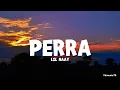 Lil Naay - Perra (Letra/Lyrics)