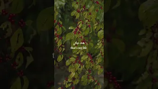            اغاني  أغاني أجنبيه  اغنية  اغنية اجنبية مترجمة  اغاني اجنبية    اغنية اجنبية دندنها