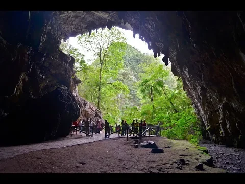 Cueva de los Guácharos