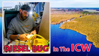 We caught a fuel bug on the ICW 😷(Calico Skies Sailing, Ep 84)