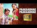 Download Lagu Paakaadhae Paakaadhae 8K/4K Video Song | Varuthapadatha Vaalibar Sangam | Sivakarthikeyan | D. Imman