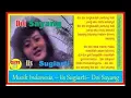 Download Lagu Doi Sayang | Iis Sugiarti | lagu21