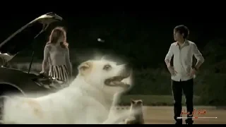 اجمل قصه الكلب الوفي مع ناي حزين جدآ سوف تبكي اذا سمعته 