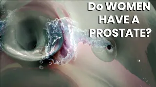 The Hidden Glands You Never Learned About | Original 3D Animation (Not AI-Generated)