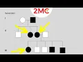 Inheritance Patterns Reading Pedigree Charts