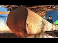 Lagu The beauty of a 12-foot long mahogany log is revealed at the sawmill. 