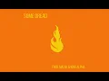 Download Lagu Fikir Amlak \u0026 King Alpha - Some Dread (Full Album)