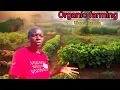 Download Lagu How This Zambian farmer built a paradise using Permaculture farming principles // Ubuntu Zambia