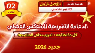 ثانية ثانوي 2AS الدعامة التشريحية للمنعكس العضلي بأقوى شرح مفصل 