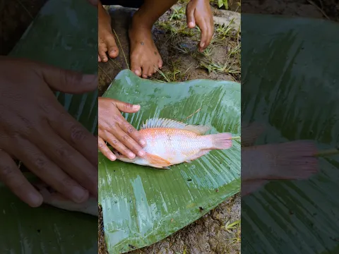 Cara mandiin ikan cantik 🐠✨