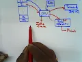 Batch Operating System