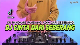 dj cinta dari seberang ku pandang pandang adik dari seberang remix full bass viral tiktok terbaru