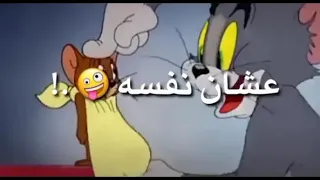 تروح فين من اللي بيحبك   دندنها