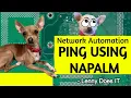 Network Automation - Ping test in Nornir using NAPALM